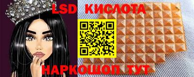 прущие крисы Партизанск