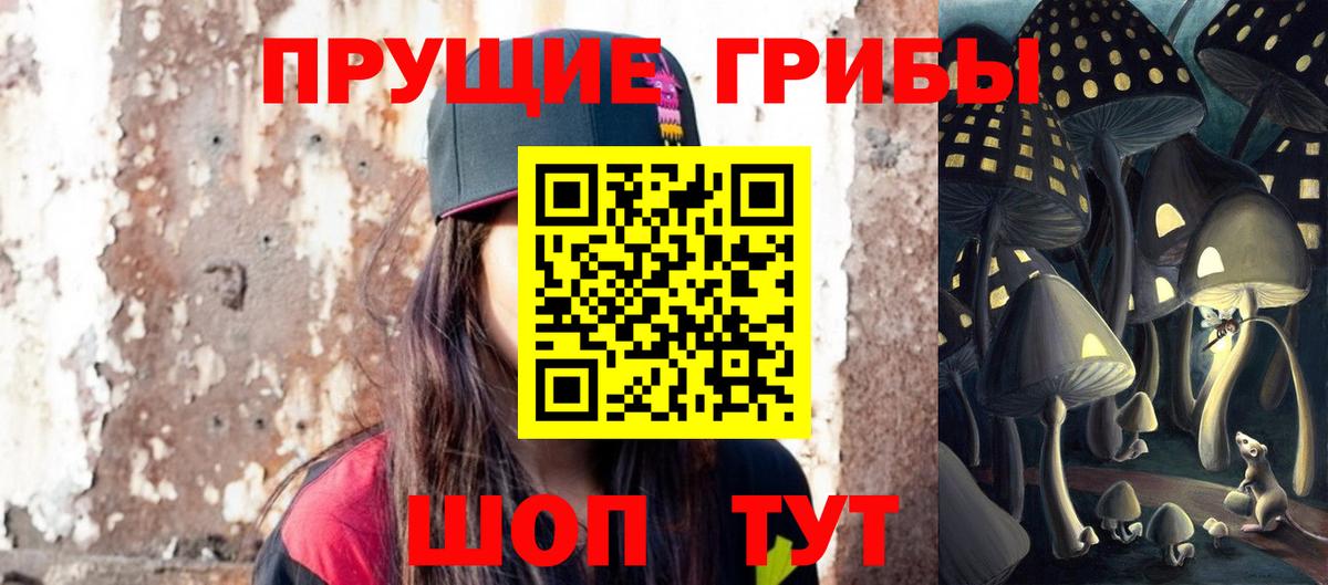 Псилоцибиновые грибы MAGIC MUSHROOMS  цены   Сокол  Вход с VPN  Галлюциногенные грибы Psilocybe 